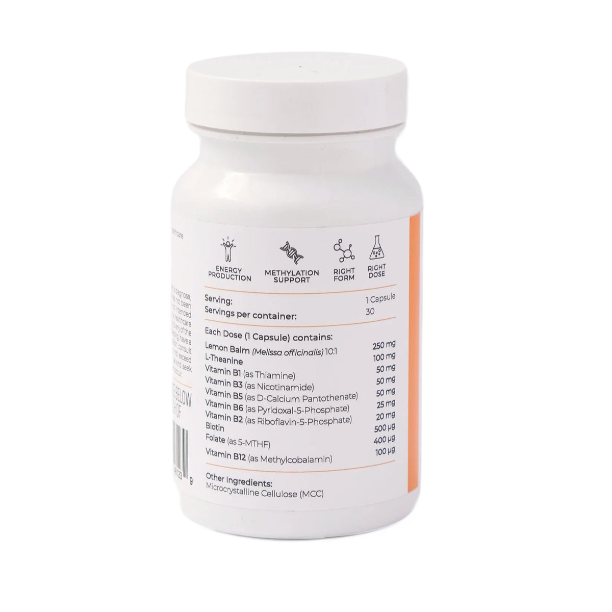Activated B-Complex with Lemon Balm & L-Theanine