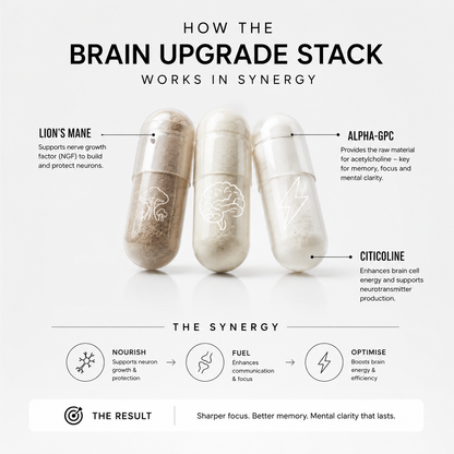 Brain Upgrade Stack