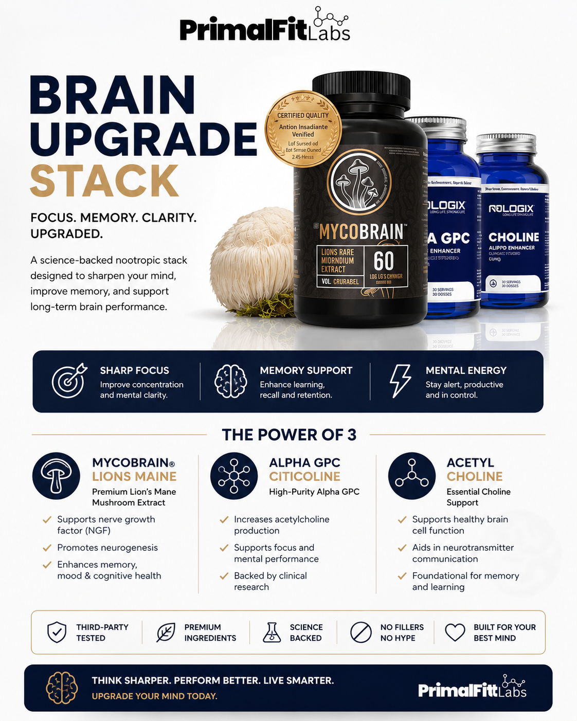 Brain Upgrade Stack