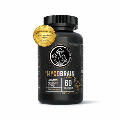 Brain Upgrade Stack